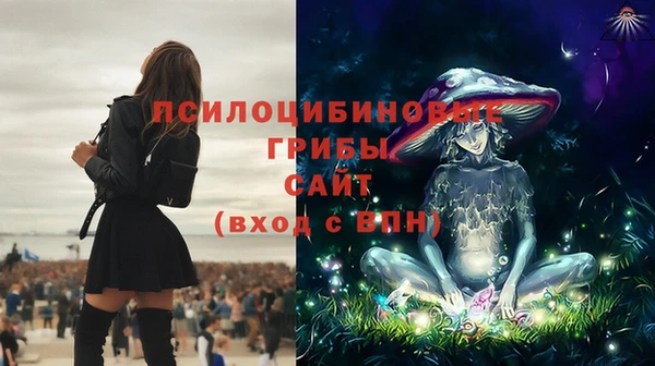 эйфоретик Алексеевка