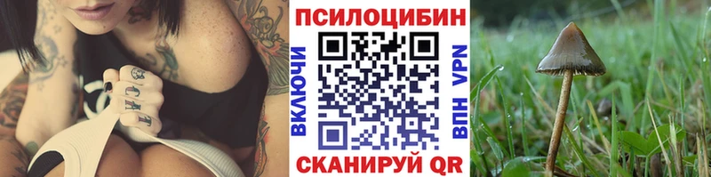 Псилоцибиновые грибы Psilocybe  где купить   Бийск 